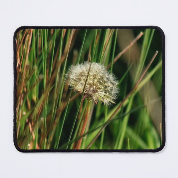 Item preview, dandelion clock amount grass designed and sold by Francespoppy.