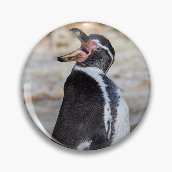 Item preview, Hungry Humboldt Penguin designed and sold by derekbeattie.
