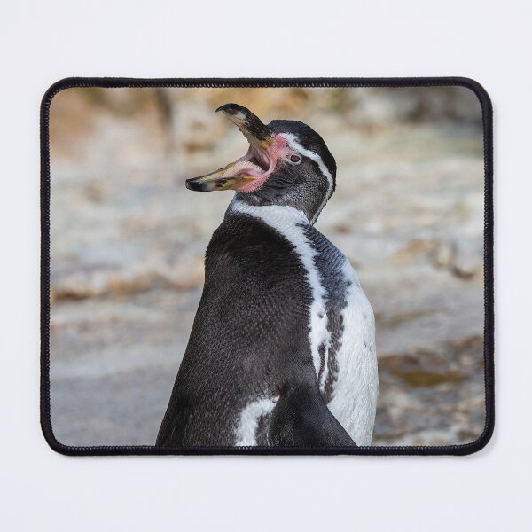 Item preview, Hungry Humboldt Penguin designed and sold by derekbeattie.