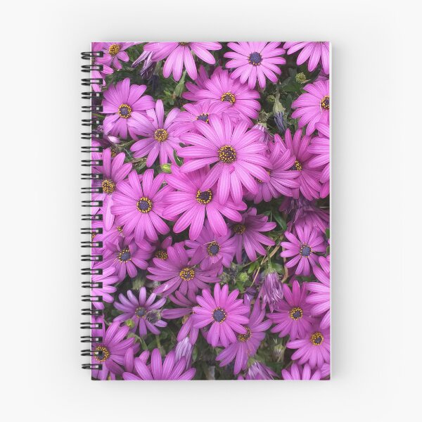 Item preview, Osteospermum  designed and sold by Floral-Art.