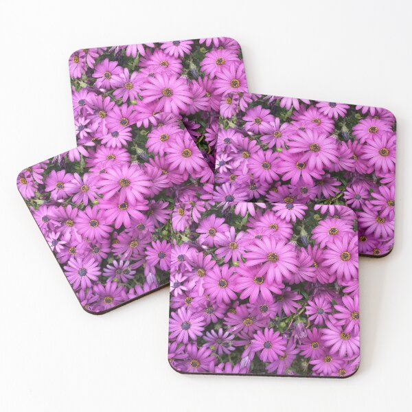 Item preview, Osteospermum  designed and sold by Floral-Art.