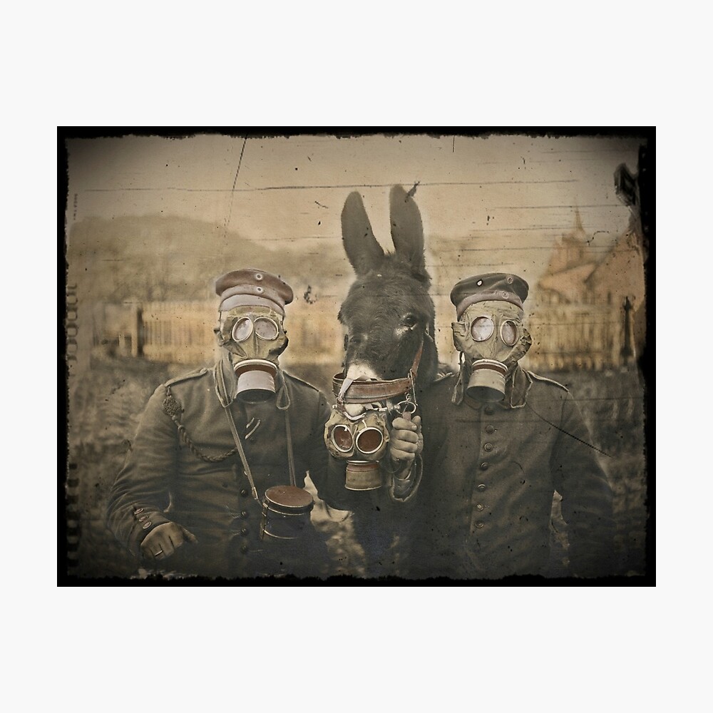 Soldaten Und Maultiere Tragen Gasmasken Metallbild Von Dianegaddis Redbubble