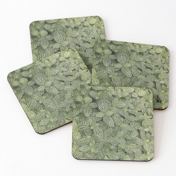 Item preview, Fittonia designed and sold by Floral-Art.