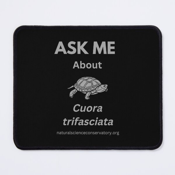 Item preview, Ask Me About Cuora trifasciata (Chinese Three-striped Box Turtle) designed and sold by Discovered.