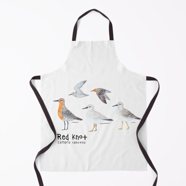 Item preview, Red Knot ID designed and sold by josmaresteban.