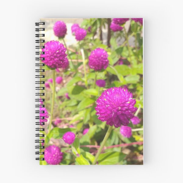 Item preview, Gomphrena designed and sold by Floral-Art.