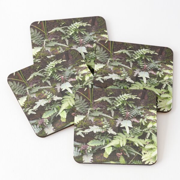 Item preview, Ferns on a wall designed and sold by Floral-Art.