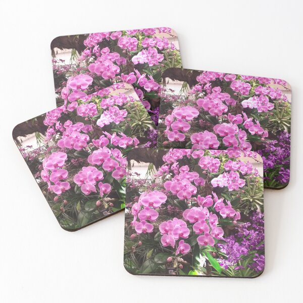 Item preview, Phalaenopsis orchids at Changi Airport Orchid Garden designed and sold by Floral-Art.