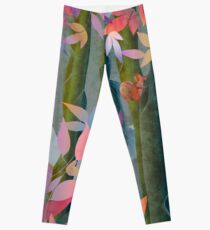 Autumn by a Waterfall Leggings