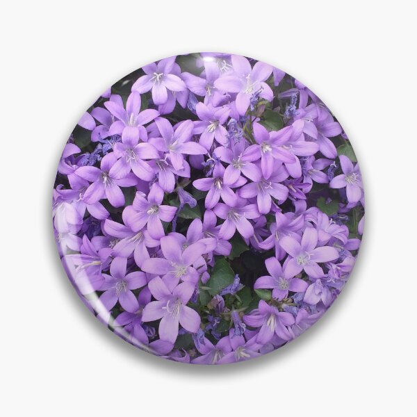 Item preview, Campanula portenschlagiana flowers designed and sold by Floral-Art.