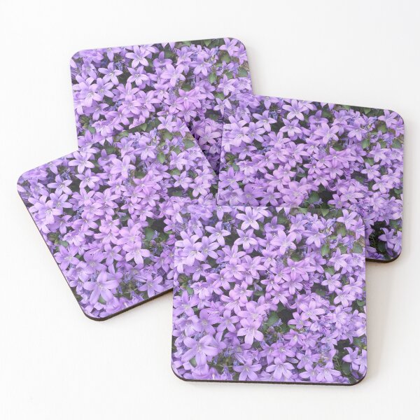 Item preview, Campanula portenschlagiana flowers designed and sold by Floral-Art.