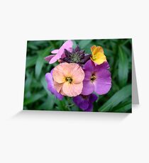 Wallflowers II Greeting Card