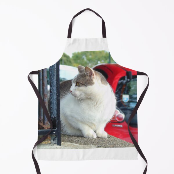 Item preview, street cat designed and sold by ART22.