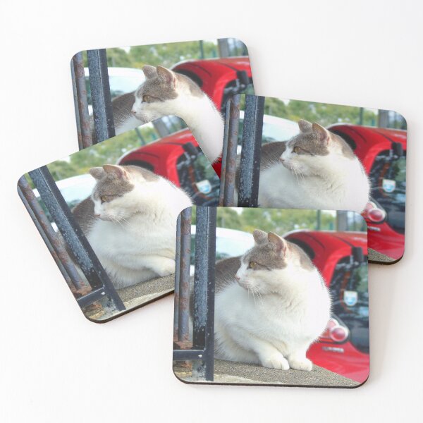 Item preview, street cat designed and sold by ART22.