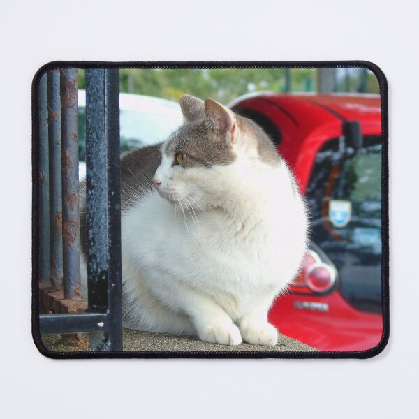 Item preview, street cat designed and sold by ART22.