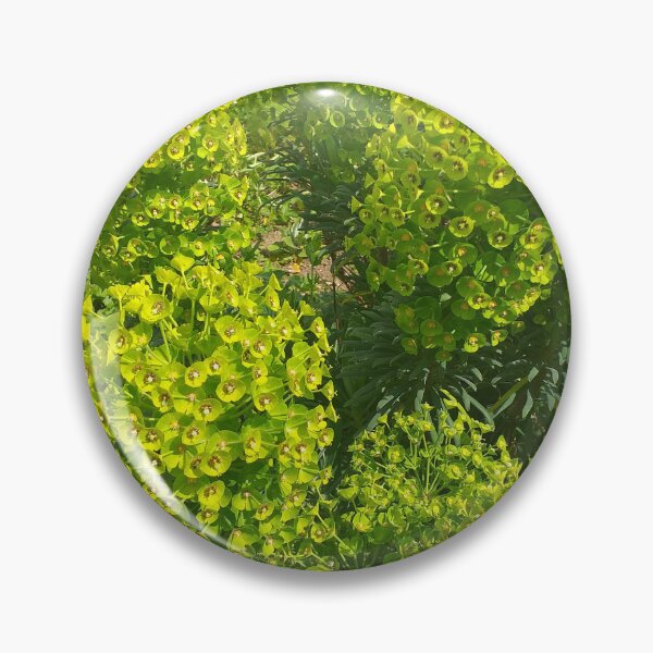 Item preview, Spurge Flowers designed and sold by Floral-Art.