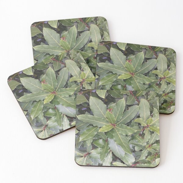 Item preview, Bay Tree Leaves designed and sold by Floral-Art.