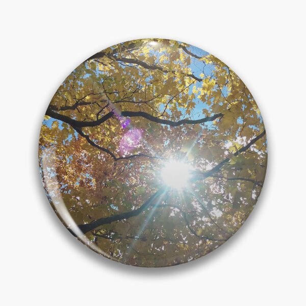 Item preview, Maple Sunburst designed and sold by JTRLandscapes.
