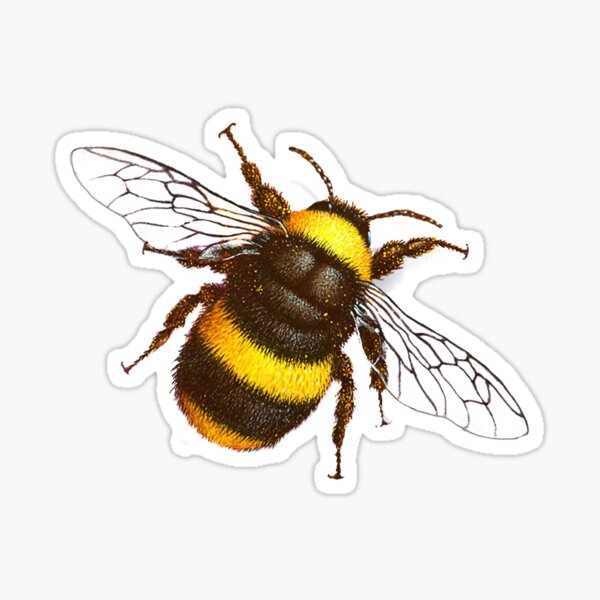 Bumble Bee  Sticker
