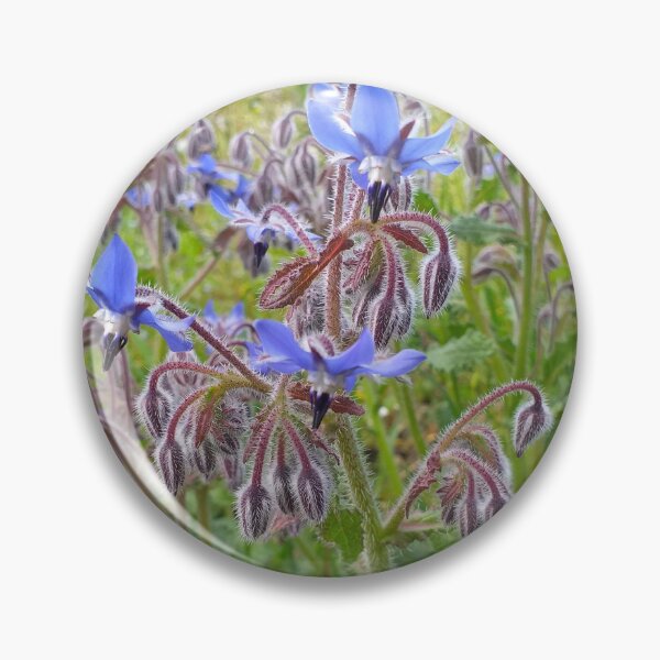 Item preview, Borago officinalis designed and sold by Floral-Art.