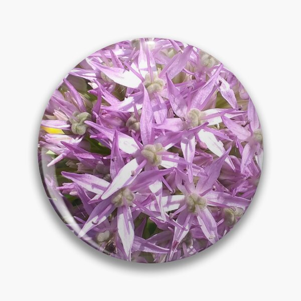 Item preview, Allium flowers designed and sold by Floral-Art.