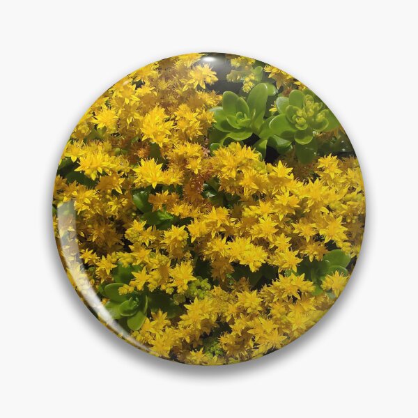 Item preview, Sedum Flowers designed and sold by Floral-Art.