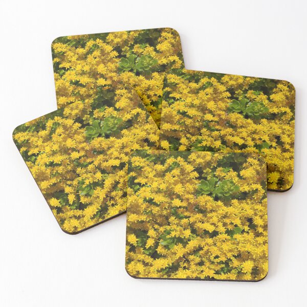 Item preview, Sedum Flowers designed and sold by Floral-Art.