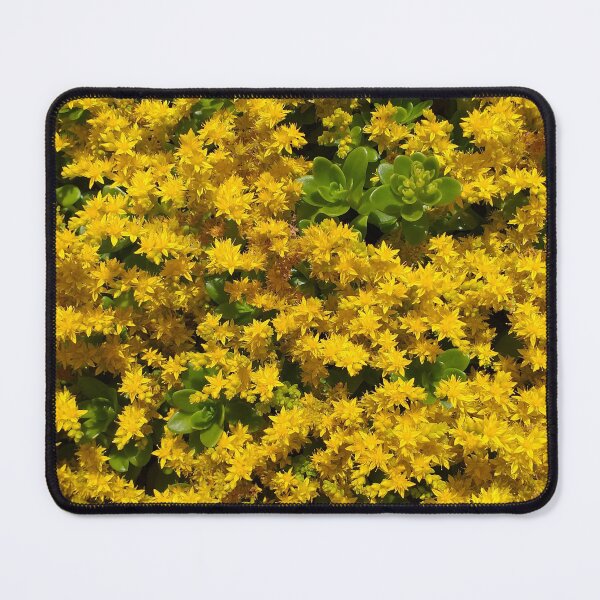 Item preview, Sedum Flowers designed and sold by Floral-Art.