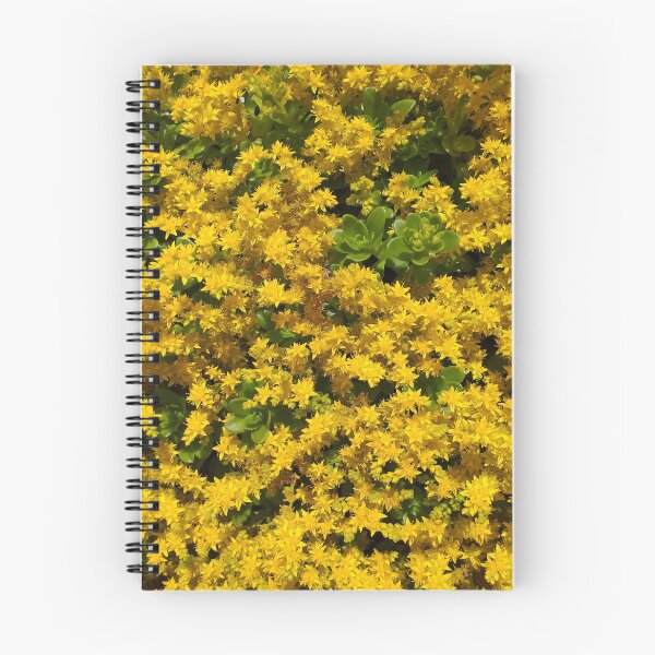 Item preview, Sedum Flowers designed and sold by Floral-Art.