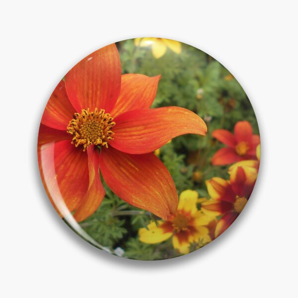 Item preview, Bidens Flowers designed and sold by Floral-Art.