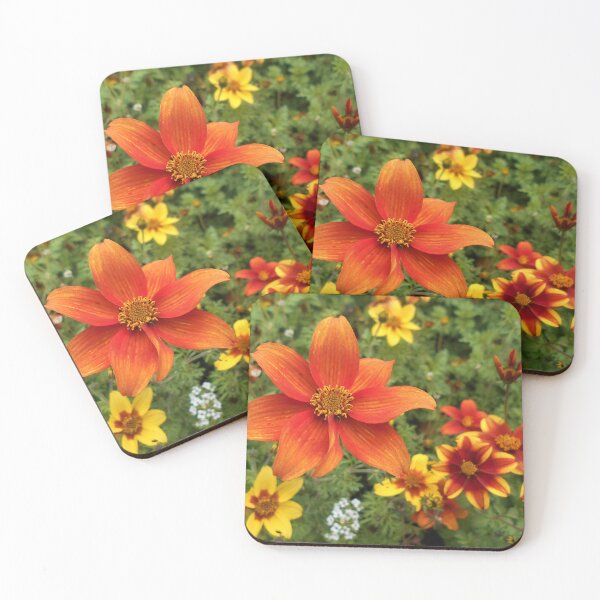 Item preview, Bidens Flowers designed and sold by Floral-Art.