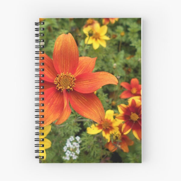 Item preview, Bidens Flowers designed and sold by Floral-Art.