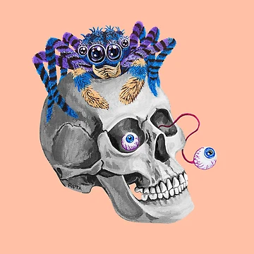 Artwork thumbnail, Skull Spider by Ruta