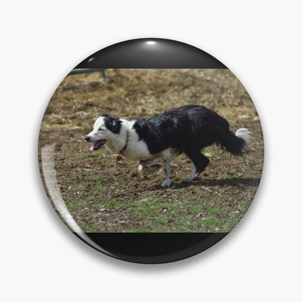 Artikelvorschau, Border Collie hüten entworfen und verkauft von MarieDarcy97.
