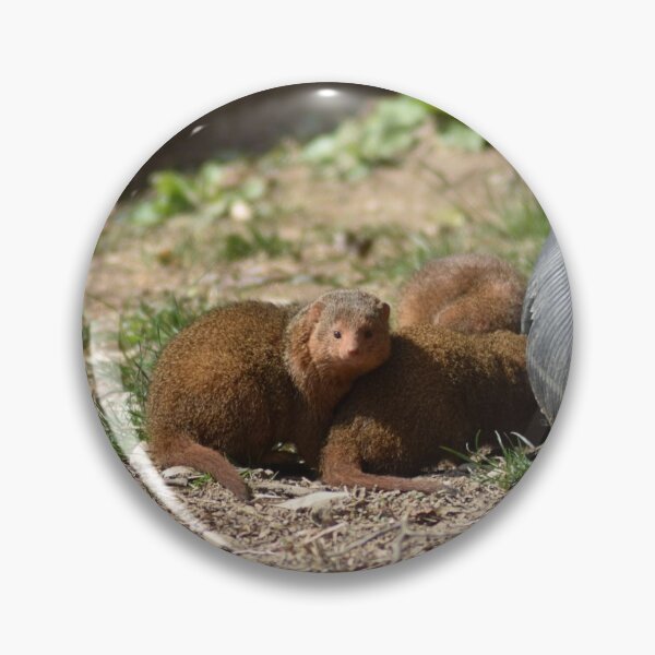 Item preview, Mongoose designed and sold by MarieDarcy97.