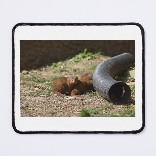 Item preview, Mongoose designed and sold by MarieDarcy97.