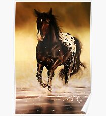 Appaloosa Poster