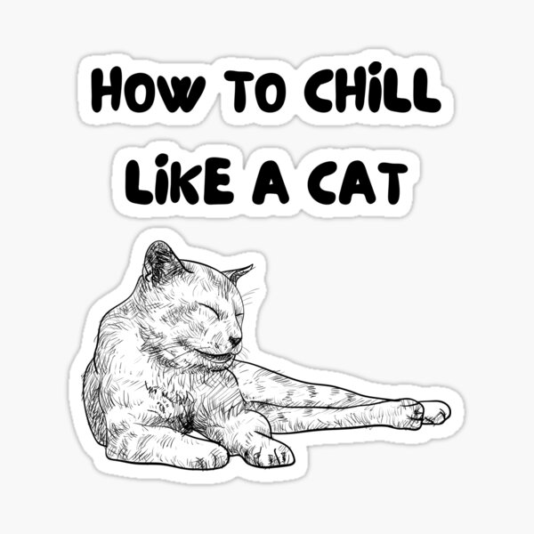 how-to-chill-like-cat-cutecats-funny-cats-cool-cats-and-cute