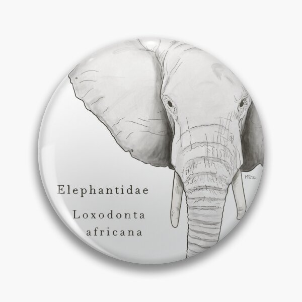 Item preview, Elephant: scientific illustration designed and sold by mangui.