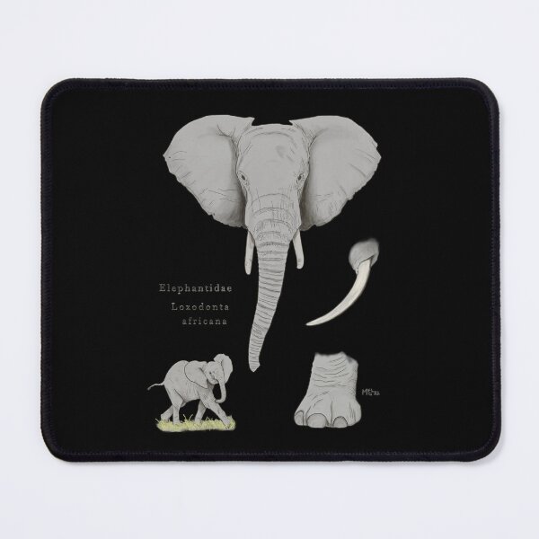 Item preview, Elephant: scientific illustration designed and sold by mangui.