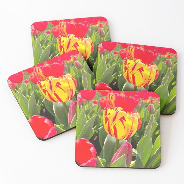 Item preview, Yellow Tulip in a field full of Red Tulips  designed and sold by Jenie Yolland.