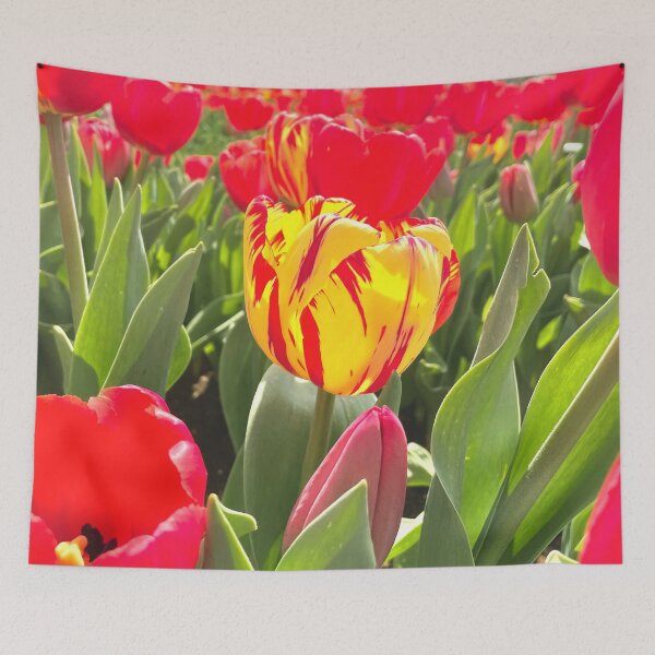 Item preview, Yellow Tulip in a field full of Red Tulips  designed and sold by Jenie Yolland.