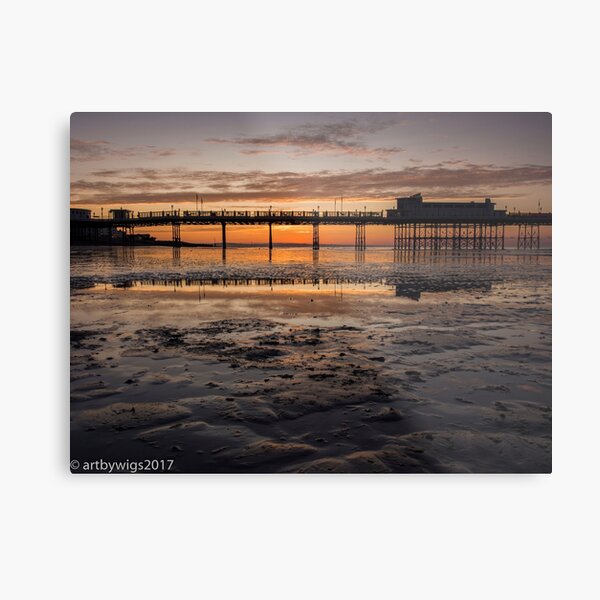 Metal Print
