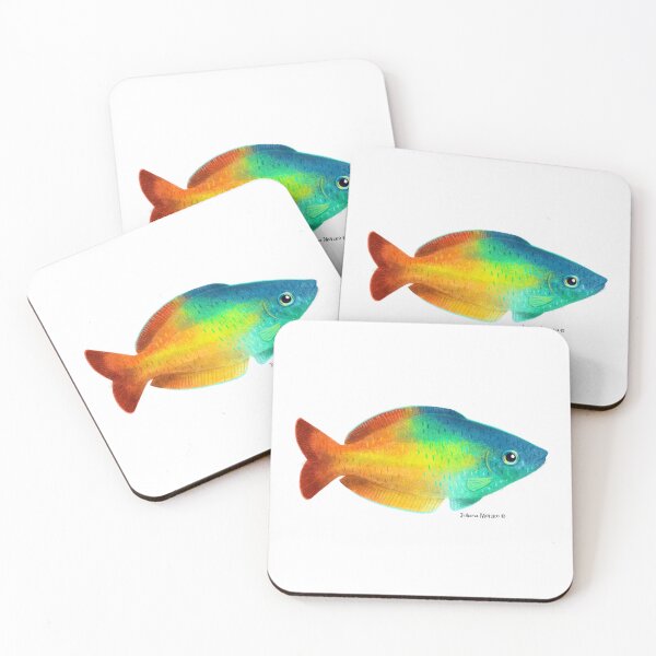 Item preview, Rainbowfish designed and sold by julianamotzko.