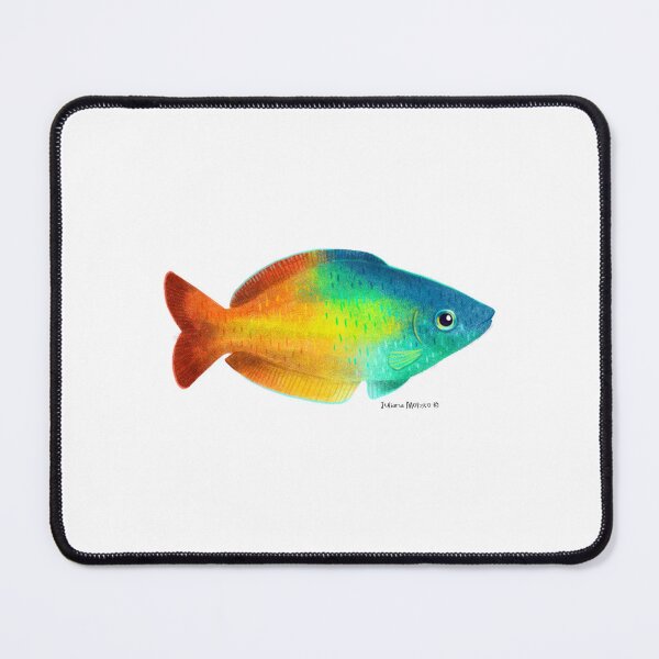 Item preview, Rainbowfish designed and sold by julianamotzko.