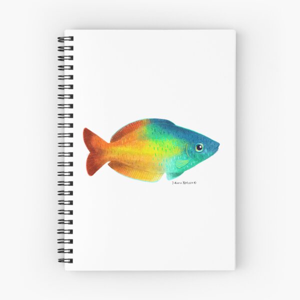 Item preview, Rainbowfish designed and sold by julianamotzko.