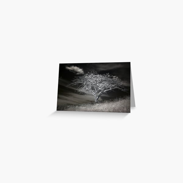 Tree and Cloud Greeting Card
