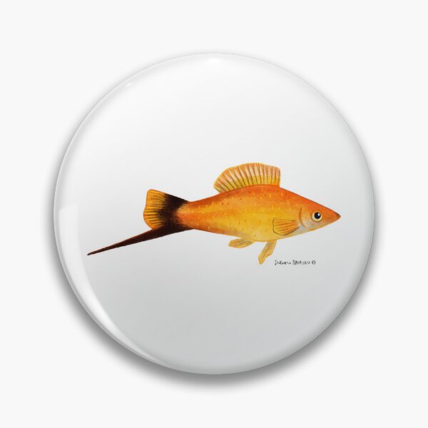 Item preview, Swordtail Fish designed and sold by julianamotzko.