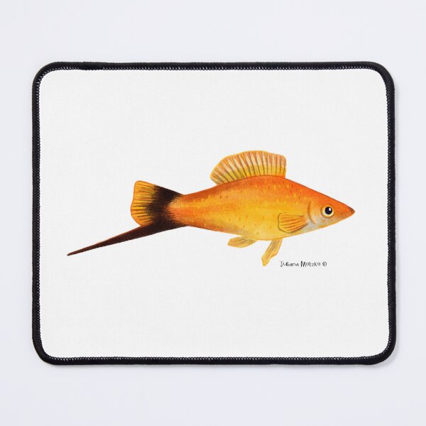 Item preview, Swordtail Fish designed and sold by julianamotzko.