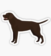 Chocolate Lab Basic Breed Silhouette Illustration Sticker